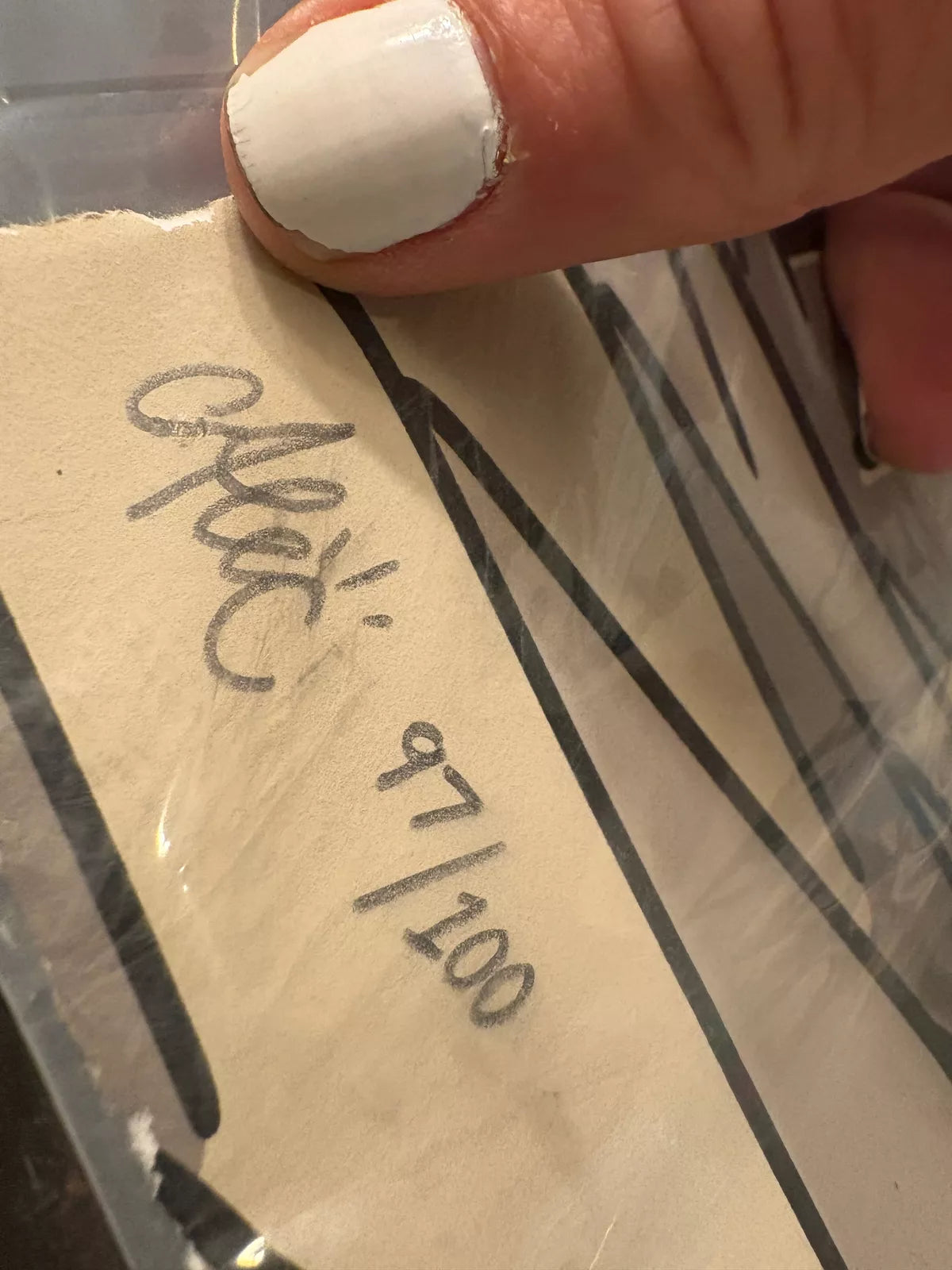 London Money Bags (2025)